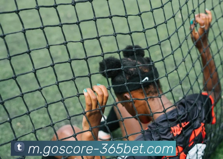 App Interface Preview